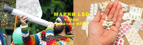 стафф Михайловск