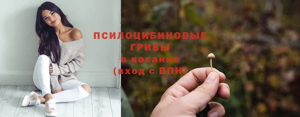 стафф Михайловск