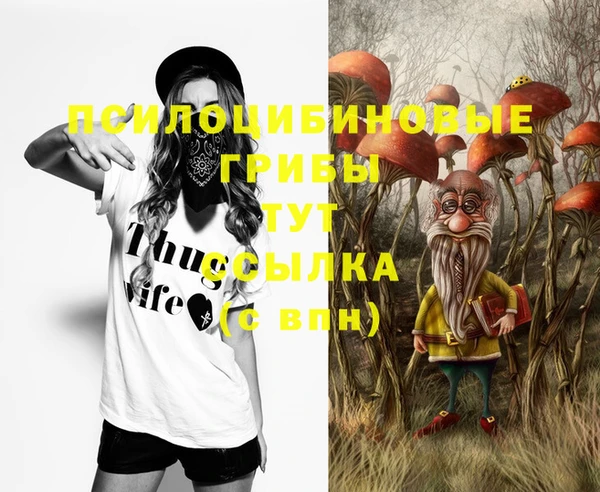 a pvp Михайловка