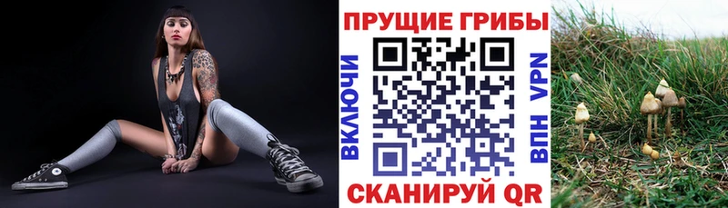 Галлюциногенные грибы мицелий  Орёл 